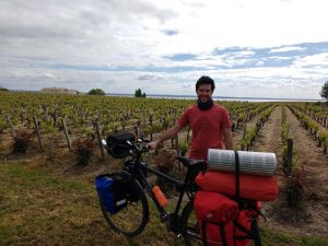 Vignes du Médoc