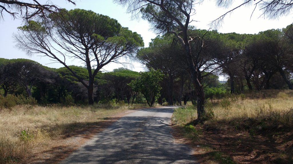 Autour de Frejus
