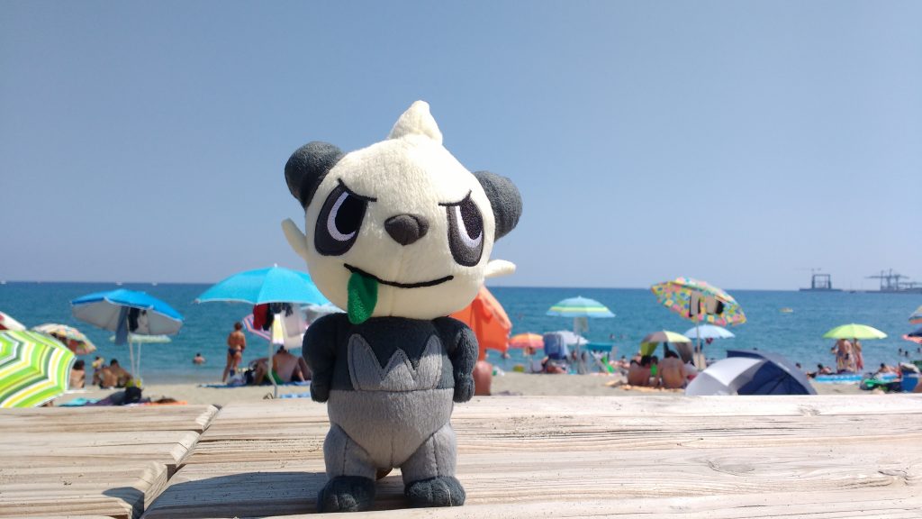 Pandespiègle à la plage