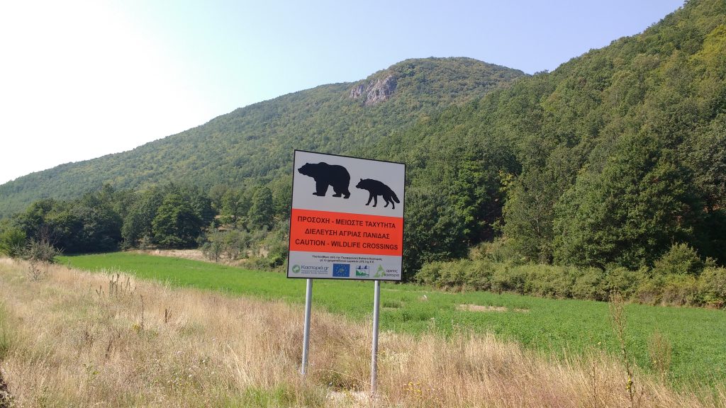 C'est l'homme qui a vu l'ours...