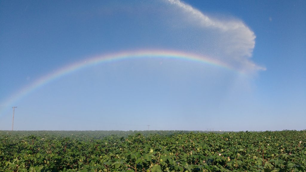 Arc-en-ciel