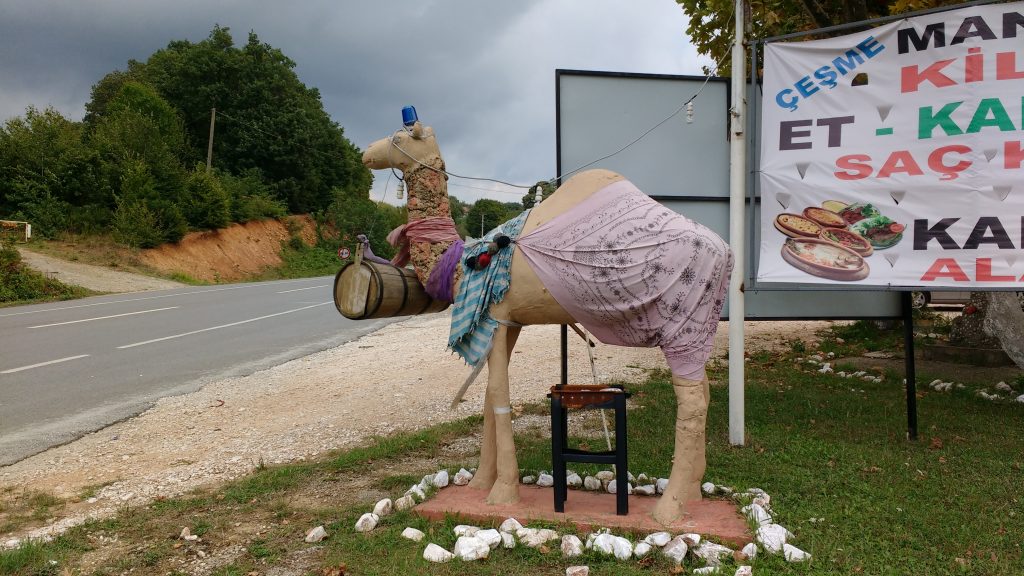 Étrange chameau